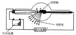 ߿ʾʵ飺߹